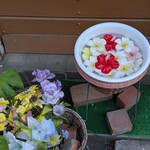 ファミリーケータリン - 店頭