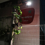 トラットリア トマティカ - 