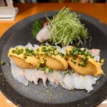 ここにもとだか - 