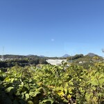 十割そば 谷岡 - 