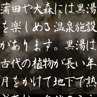 肉のいちのへ_2