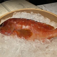 筑紫樓 銀座店 - 