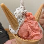 アンティカ ジェラテリア - 