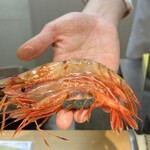 分家 歩寿司 純 - 