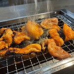 ホルモン焼肉 ひふみ屋 - 