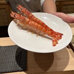 神田錦町 鮨たか晴 - 