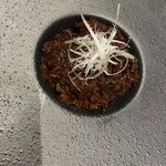 鉄板屋な。 - 和牛スジ煮込みな。