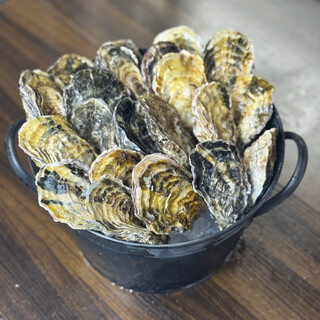 BACK YARD Brooklyn Park Yokohama_1