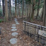 Zao樹のなか 採りたてやさいとチーズケーキ - 