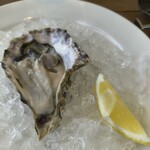 TRATTORIA PIZZERIA 207 葉山本店 - 