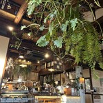 ハックベリー - 