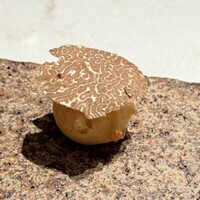 プレヴナンス - 