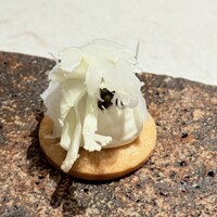 プレヴナンス - 