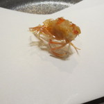 天雅 - 最初はいつものように才まき海老の頭から。