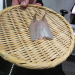 天雅 - おろされて・・・