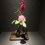 天雅 - 花もきれいです。