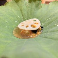 東茶屋 なかむら - 