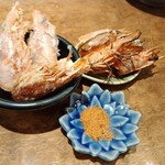 旨い魚と旨い酒 海老の世界 - 