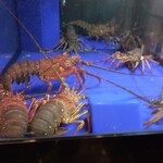 旨い魚と旨い酒 海老の世界 - 