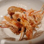 旨い魚と旨い酒 海老の世界 - 