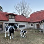 ウエモンズ ハート - 