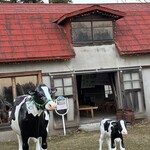 ウエモンズ ハート - 