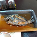 若松屋旅館 - 天草産クロ鯛の煮付け