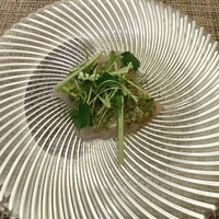 ヤマガタ サンダンデロ - 