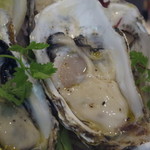 ニュー貝殻荘 - 的矢の生牡蠣。