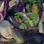 ニュー貝殻荘 - ボイルされた、ムール貝、千葉県産蛤。