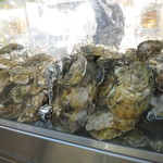 ニュー貝殻荘 - 