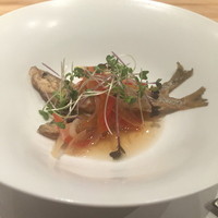 炭火割烹 白坂 - 