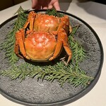 中国飯店 富麗華 - 