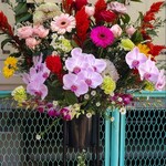 煮干そば 流。 - 