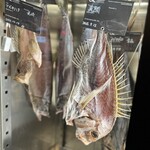 トラットリア ダイ パエサーニ - 