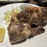 タンテール富士 - 