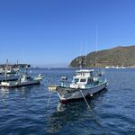さかなや 魚清 - お店の目の前は海