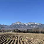 ヤツレン ソフトクリーム売店 - 