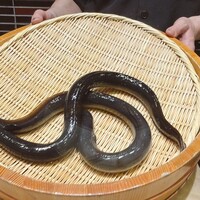 入谷鬼子母神門前のだや - 