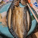 とろさば料理専門店 SABAR - 