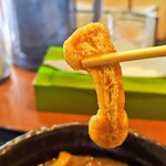 手作りうどん 天粉盛 - 