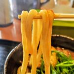 手作りうどん 天粉盛 - 