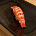 鮨 福原 - 大分 車海老