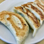 麺龍 - 巨大な餃子は普通の餃子より大きい気がする