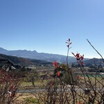 ティアツリー オーチャードカフェ - 