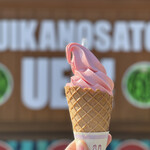 すいかの里 植木 - 