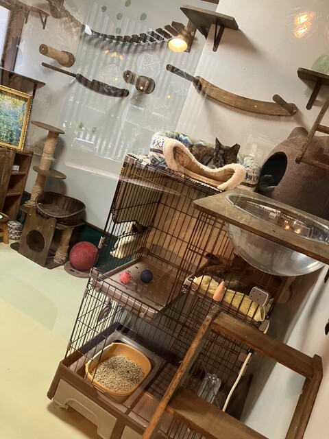 でずぼCafe（でずぼカフェ） - あつみ温泉（カフェ）の写真