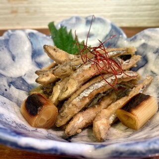 旬魚菜 しら川_1