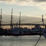 マグロ卸のフィッシャリーズテラス - 