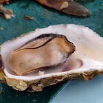 マグロ卸のフィッシャリーズテラス - 